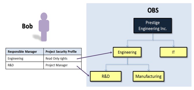 OBS Profile in P6