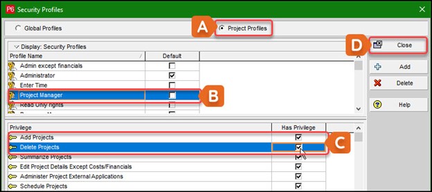 P6 Security Profiles dialog box