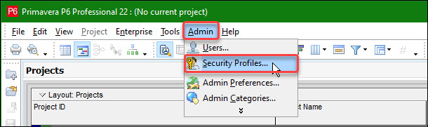 Select Admin | Security Profiles in P6